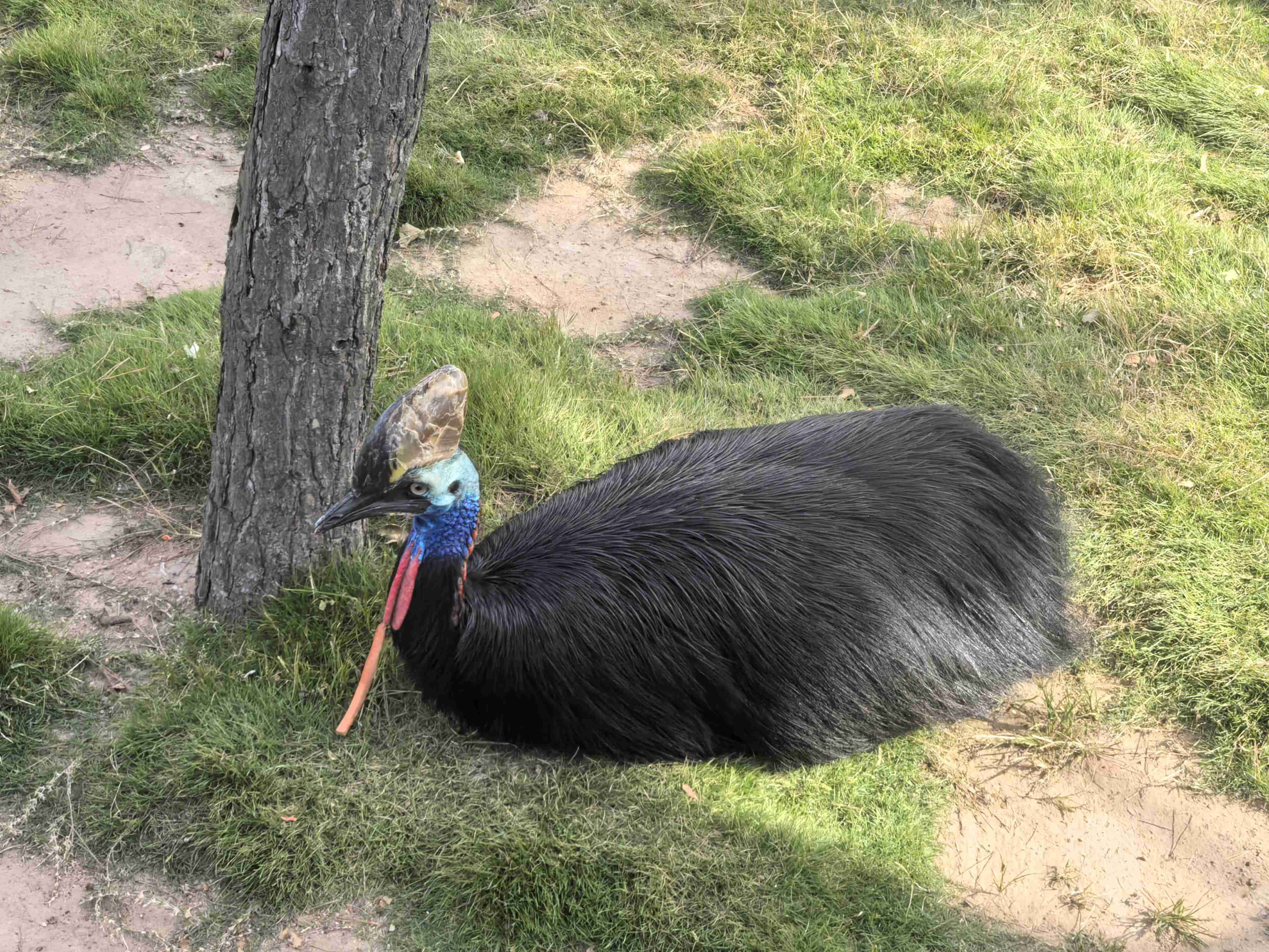 AGGAME¡¤(ÖйúÇø)¼¯ÍŹٷ½ÍøÕ¾